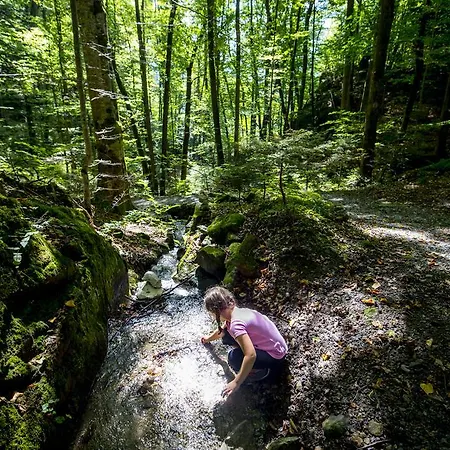 Hasli Lägenhet Innertkirchen